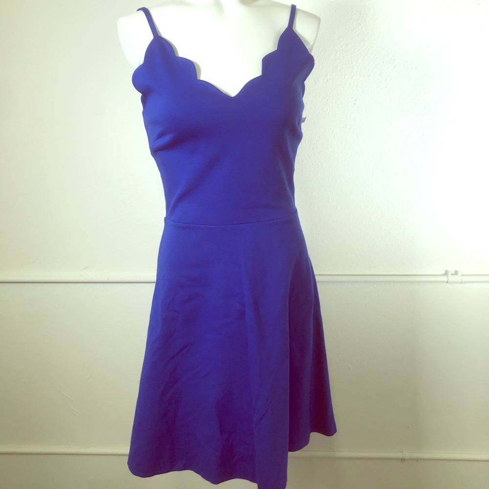 Love...Ady Scallop V-Neck Fit & Flare Dress